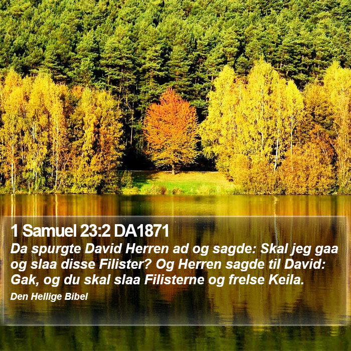 1 Samuel 23:2 DA1871 Bible Study