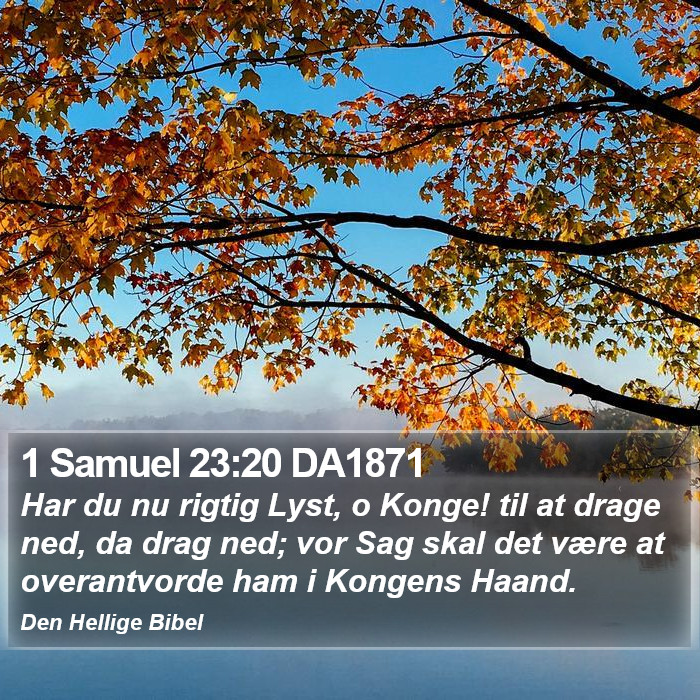 1 Samuel 23:20 DA1871 Bible Study