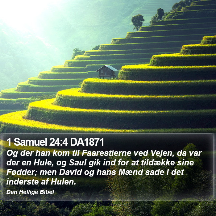 1 Samuel 24:4 DA1871 Bible Study