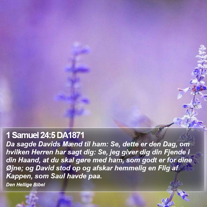 1 Samuel 24:5 DA1871 Bible Study