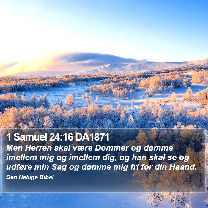 1 Samuel 24:16 DA1871 Bible Study