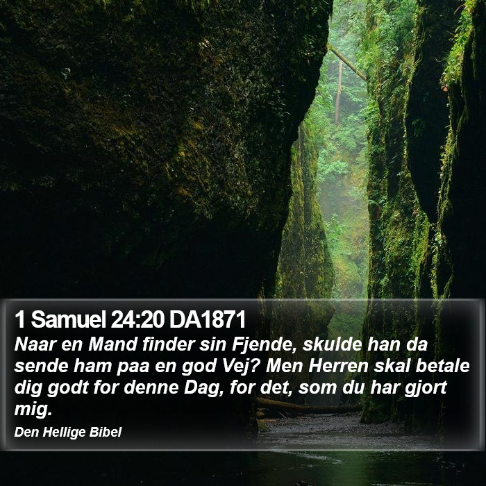 1 Samuel 24:20 DA1871 Bible Study