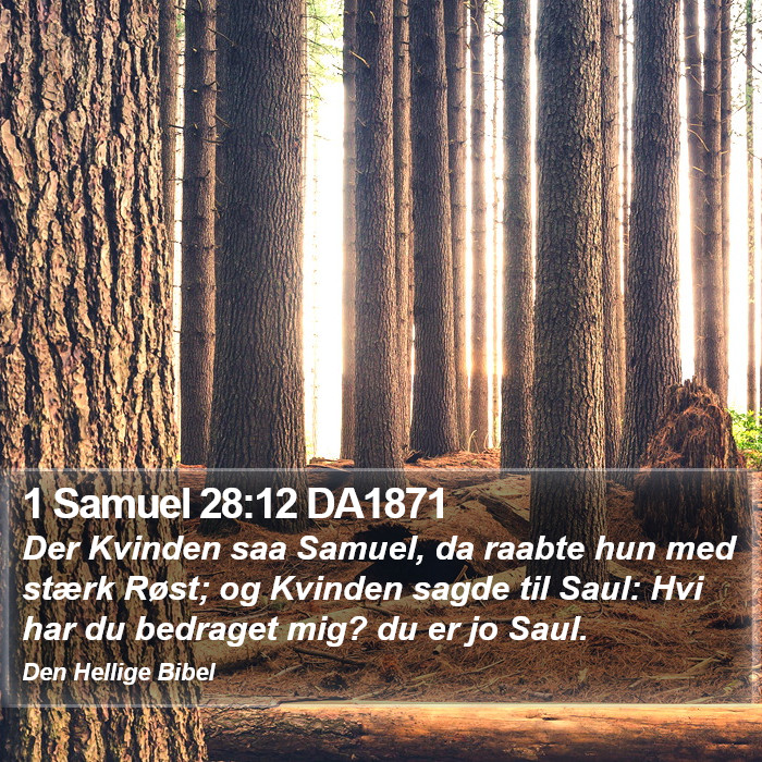1 Samuel 28:12 DA1871 Bible Study