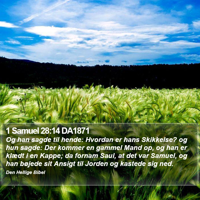 1 Samuel 28:14 DA1871 Bible Study