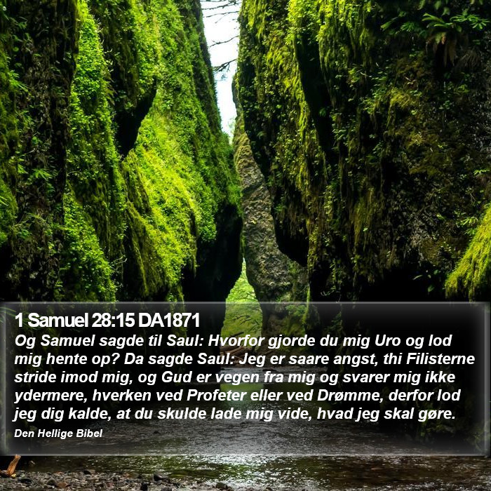 1 Samuel 28:15 DA1871 Bible Study