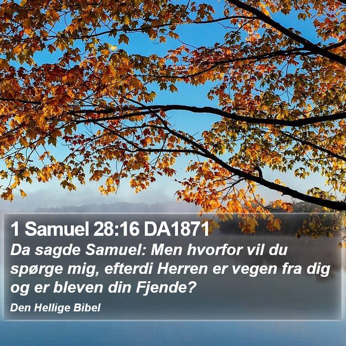 1 Samuel 28:16 DA1871 Bible Study