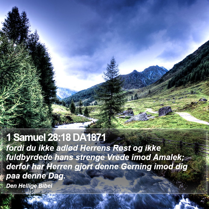 1 Samuel 28:18 DA1871 Bible Study