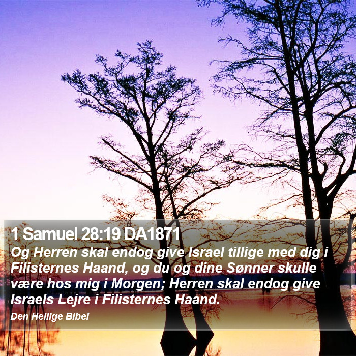 1 Samuel 28:19 DA1871 Bible Study