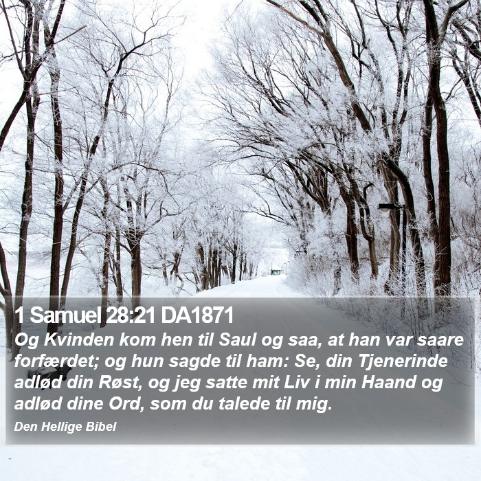 1 Samuel 28:21 DA1871 Bible Study