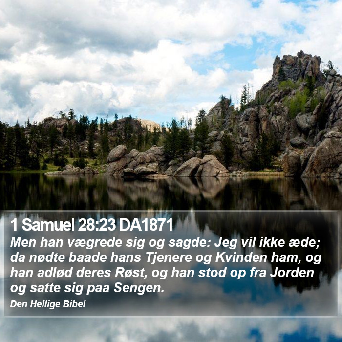 1 Samuel 28:23 DA1871 Bible Study
