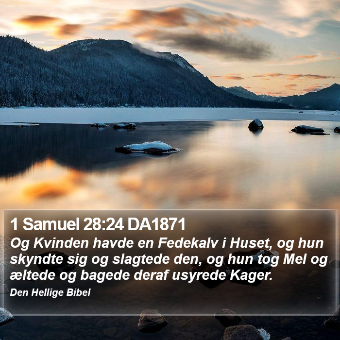 1 Samuel 28:24 DA1871 Bible Study