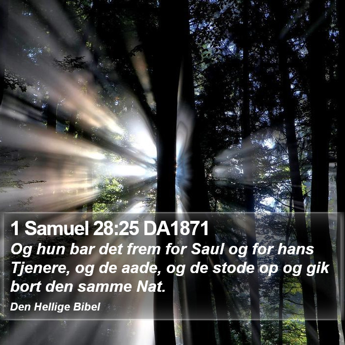 1 Samuel 28:25 DA1871 Bible Study