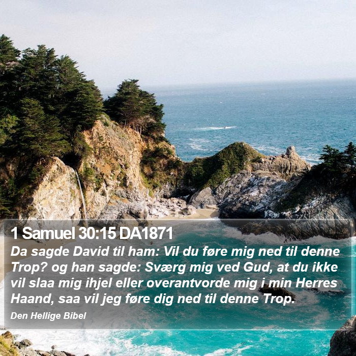 1 Samuel 30:15 DA1871 Bible Study