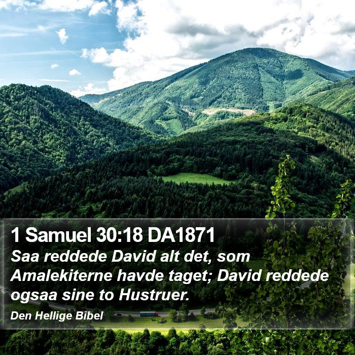 1 Samuel 30:18 DA1871 Bible Study