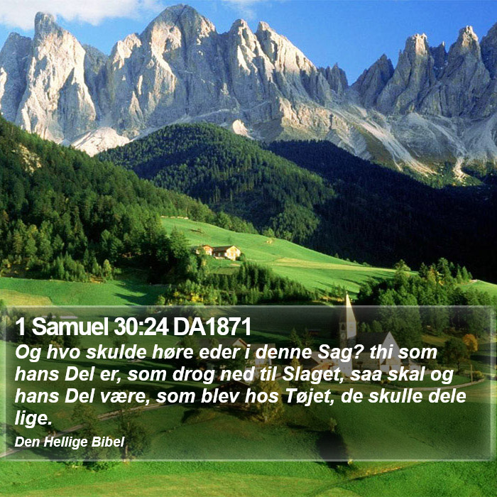 1 Samuel 30:24 DA1871 Bible Study