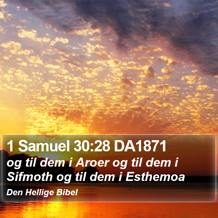 1 Samuel 30:28 DA1871 Bible Study