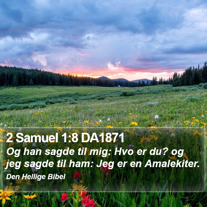 2 Samuel 1:8 DA1871 Bible Study