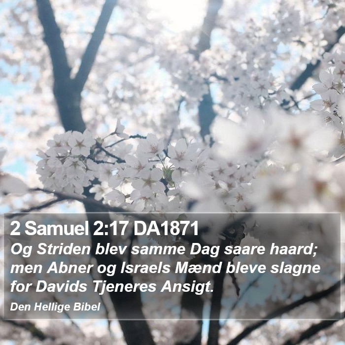 2 Samuel 2:17 DA1871 Bible Study