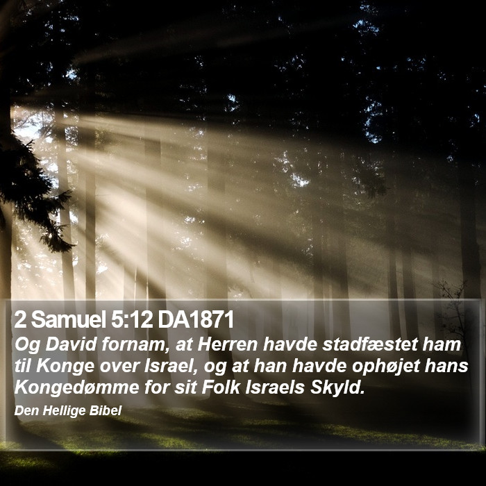 2 Samuel 5:12 DA1871 Bible Study