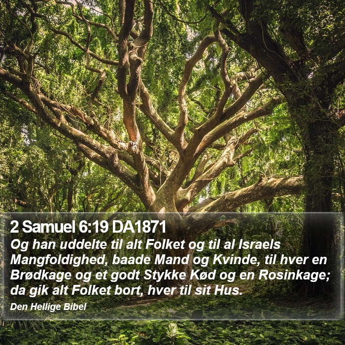 2 Samuel 6:19 DA1871 Bible Study