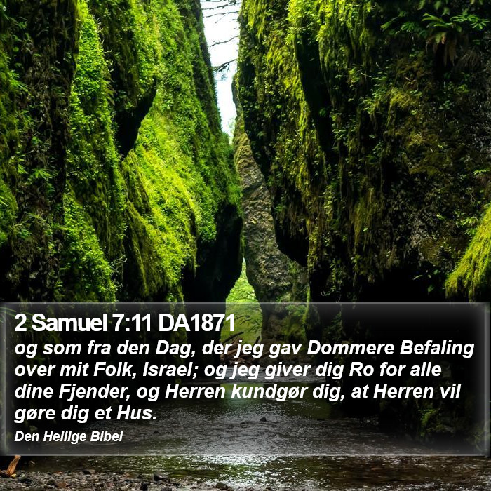 2 Samuel 7:11 DA1871 Bible Study