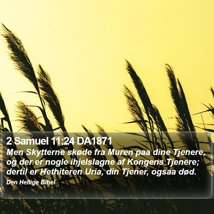 2 Samuel 11:24 DA1871 Bible Study