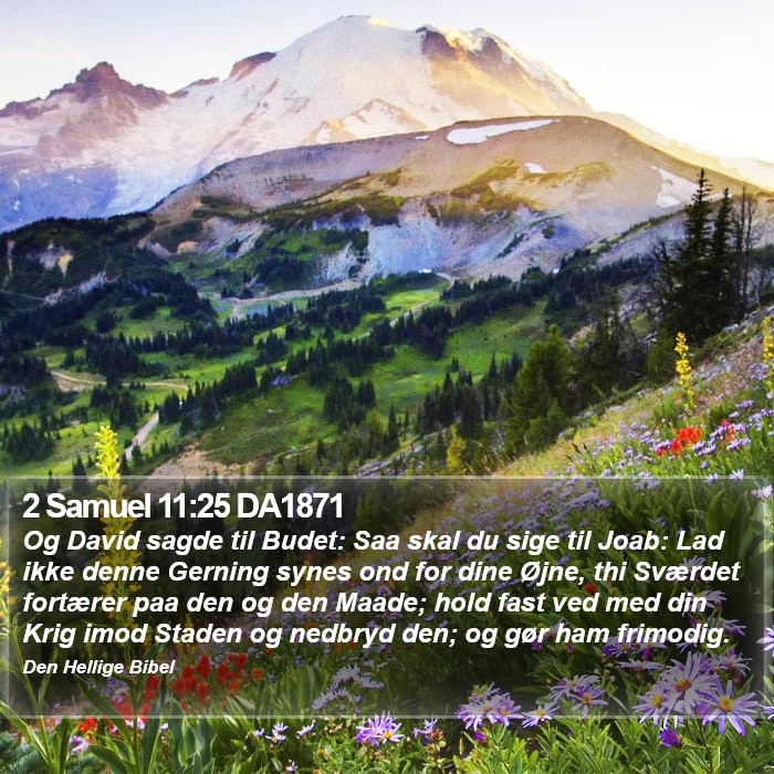 2 Samuel 11:25 DA1871 Bible Study