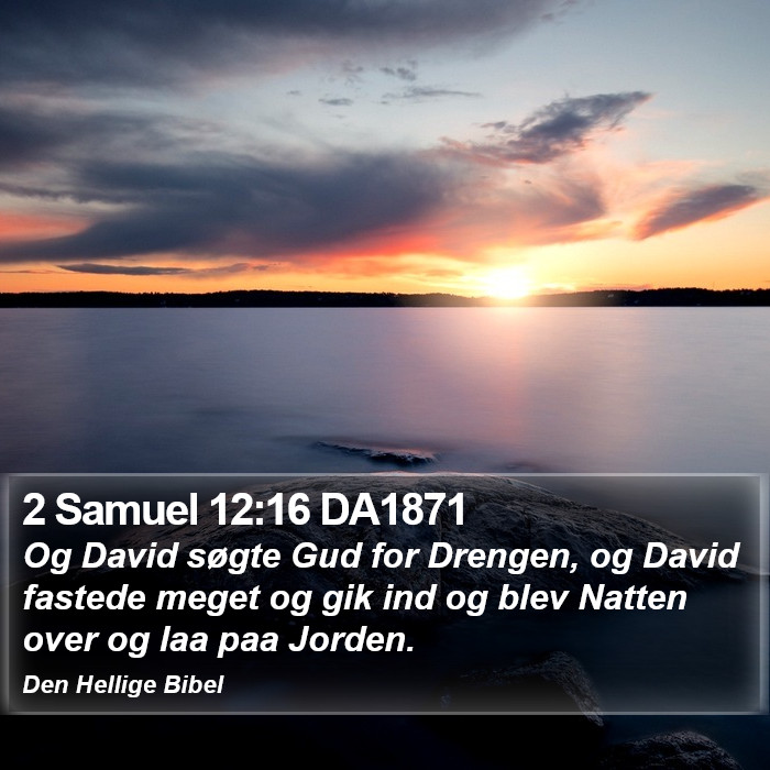 2 Samuel 12:16 DA1871 Bible Study