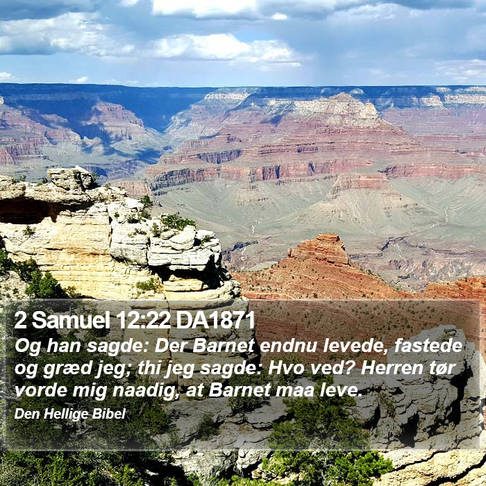 2 Samuel 12:22 DA1871 Bible Study