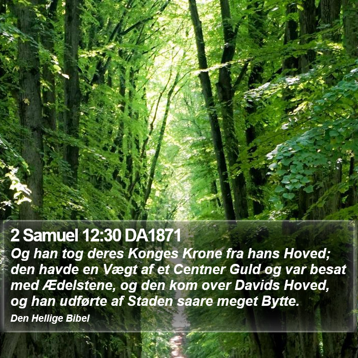 2 Samuel 12:30 DA1871 Bible Study