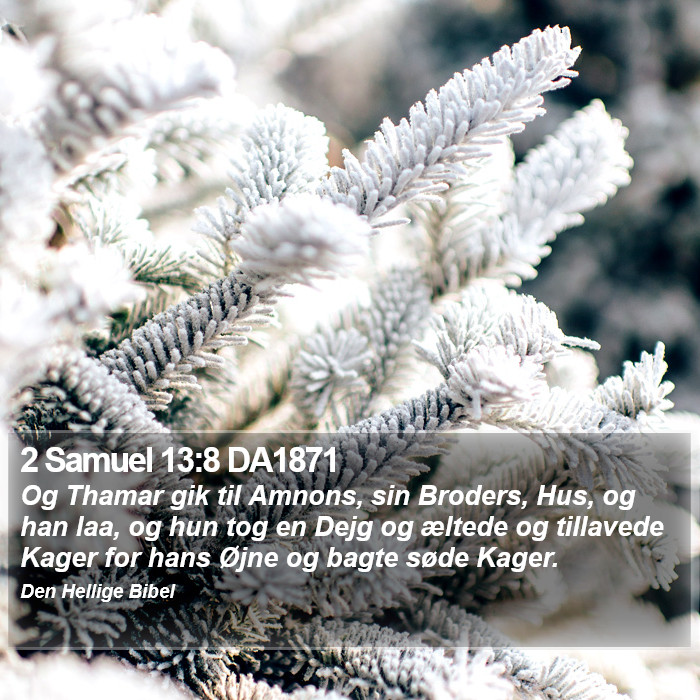 2 Samuel 13:8 DA1871 Bible Study