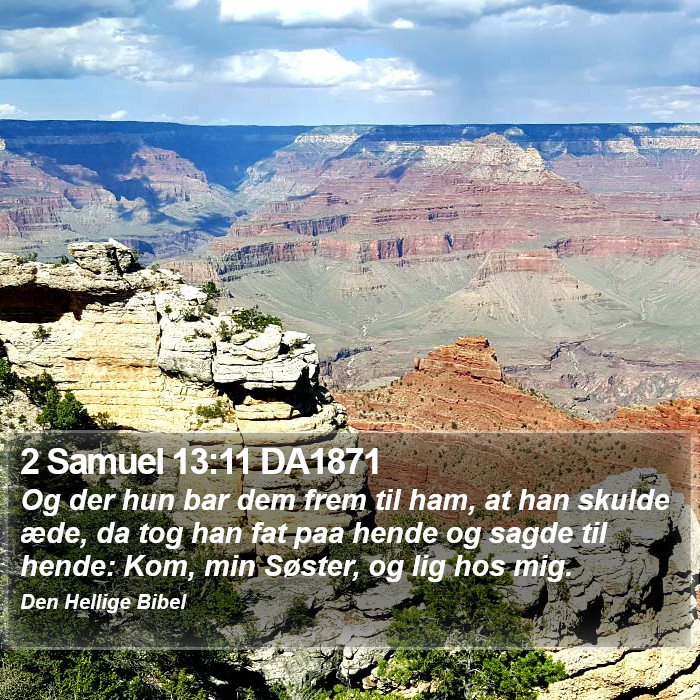 2 Samuel 13:11 DA1871 Bible Study