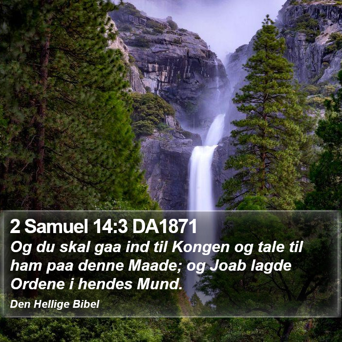 2 Samuel 14:3 DA1871 Bible Study