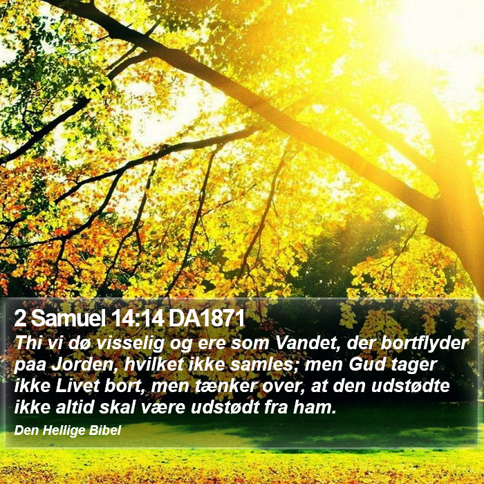 2 Samuel 14:14 DA1871 Bible Study