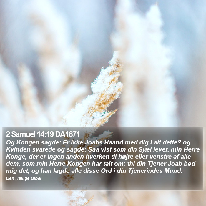 2 Samuel 14:19 DA1871 Bible Study