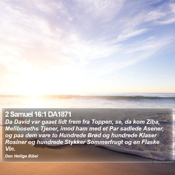 2 Samuel 16:1 DA1871 Bible Study