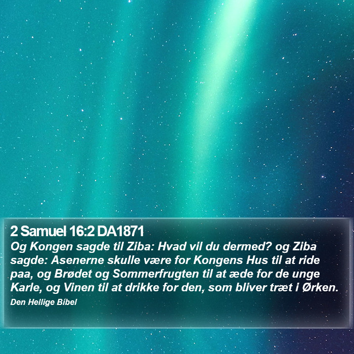 2 Samuel 16:2 DA1871 Bible Study