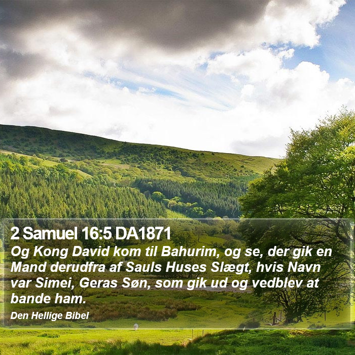 2 Samuel 16:5 DA1871 Bible Study