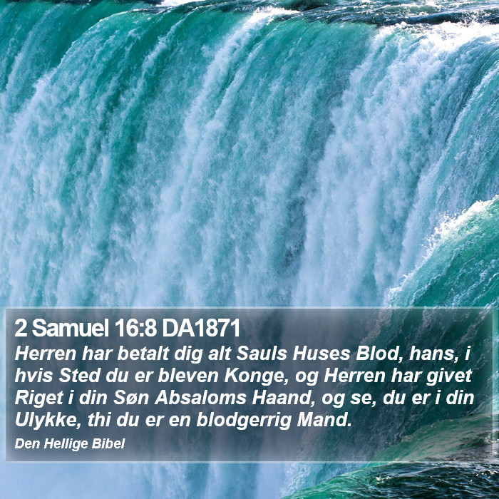 2 Samuel 16:8 DA1871 Bible Study