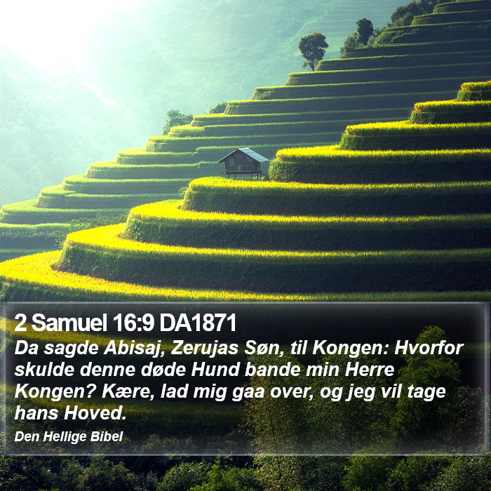 2 Samuel 16:9 DA1871 Bible Study