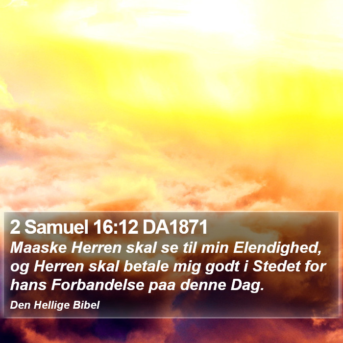 2 Samuel 16:12 DA1871 Bible Study