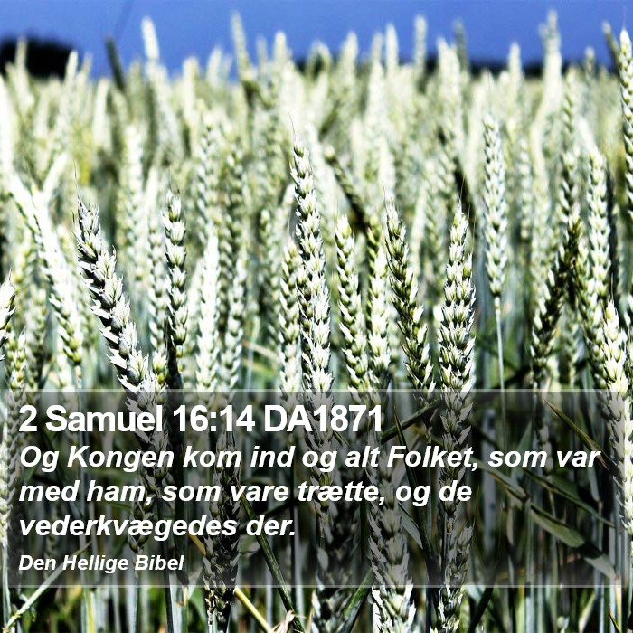 2 Samuel 16:14 DA1871 Bible Study
