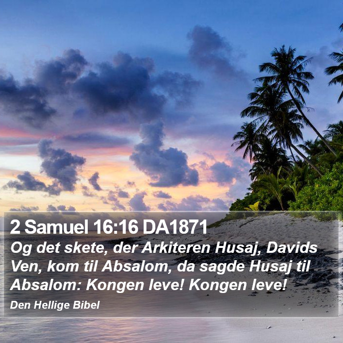 2 Samuel 16:16 DA1871 Bible Study