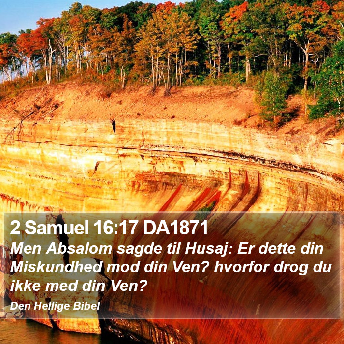 2 Samuel 16:17 DA1871 Bible Study