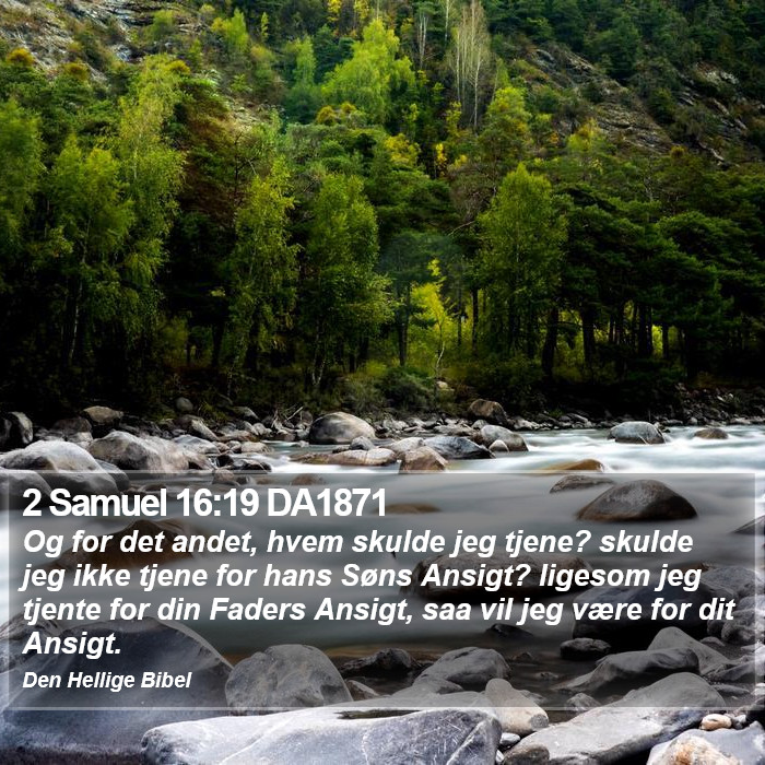 2 Samuel 16:19 DA1871 Bible Study