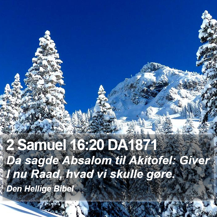 2 Samuel 16:20 DA1871 Bible Study