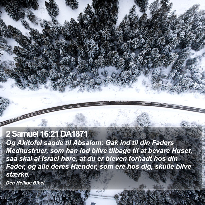 2 Samuel 16:21 DA1871 Bible Study