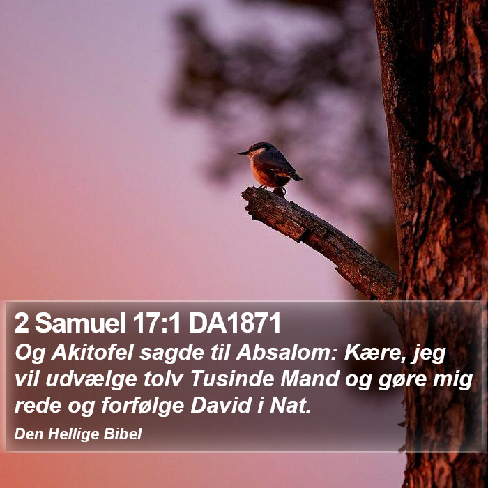 2 Samuel 17:1 DA1871 Bible Study