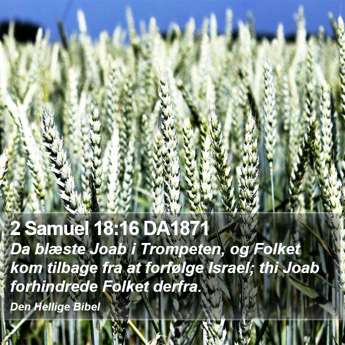 2 Samuel 18:16 DA1871 Bible Study