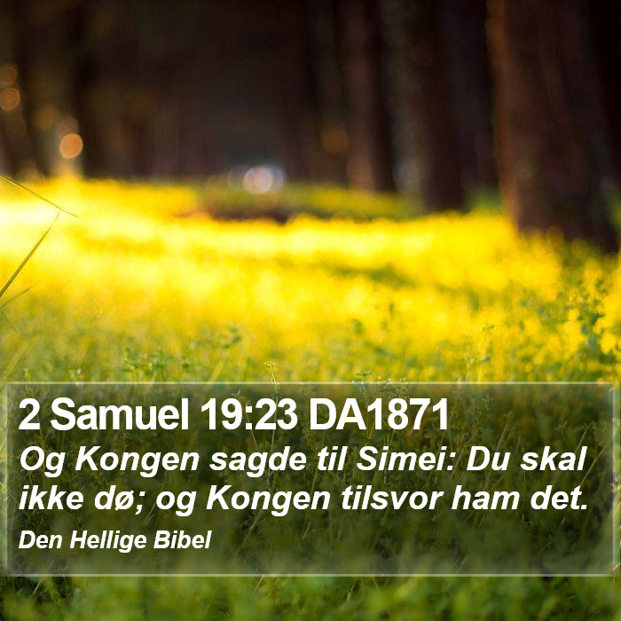 2 Samuel 19:23 DA1871 Bible Study